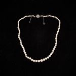 1071 7321 PEARL NECKLACE